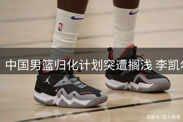 中国男篮归化计划突遭搁浅 李凯尔后恐无新援加盟