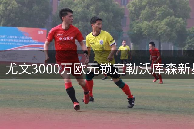 尤文3000万欧元锁定勒沃库森新星阿拉伊贝戈维奇