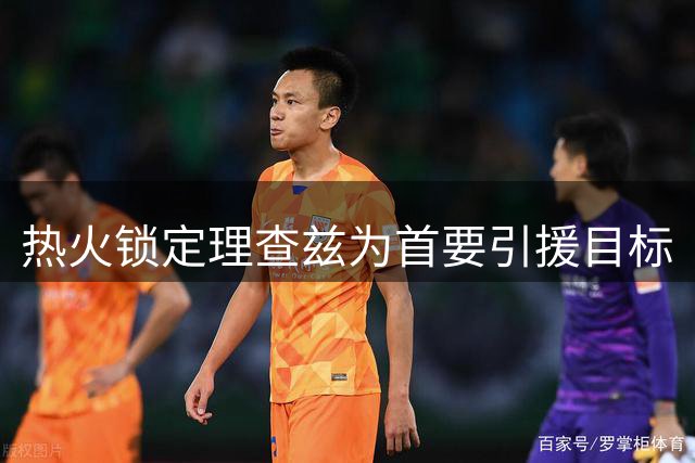 热火锁定理查兹为首要引援目标