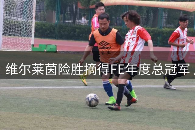 维尔莱茵险胜摘得FE年度总冠军 成就个人第二冠