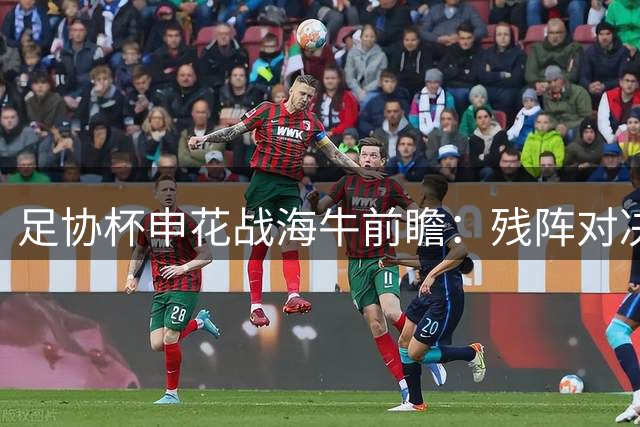 足协杯申花战海牛前瞻：残阵对决暗藏玄机 新援首秀成焦点