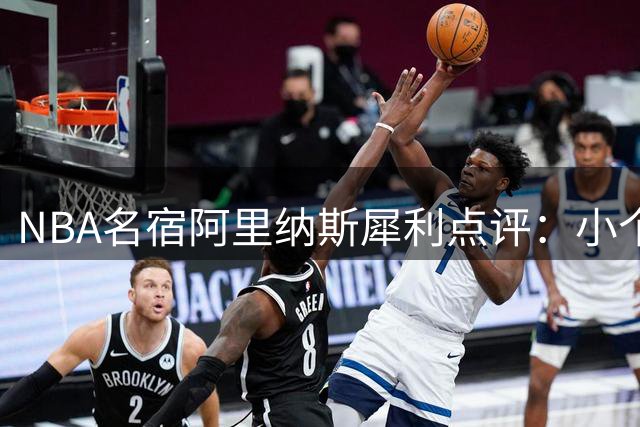 NBA名宿阿里纳斯犀利点评：小个子球员为何从不与大个子硬碰硬？